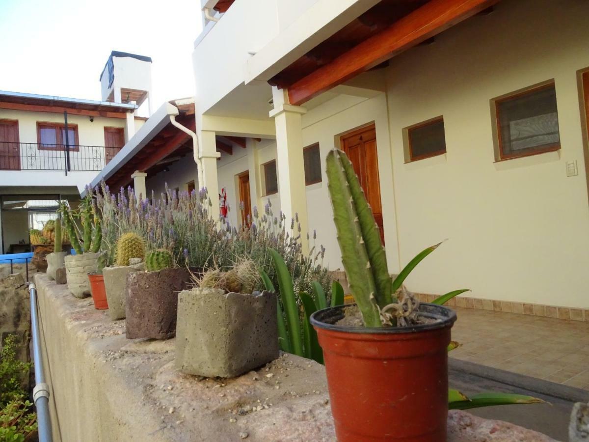 Casa Cactus Cafayate Hotel Luaran gambar